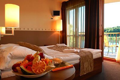 To Wellness Hotel 3* spacious large rooms with panoramic view