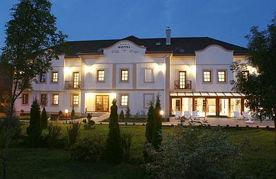 Villa Völgy Wellness Hotel Eger ****