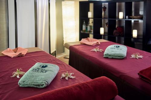 Apartment hotel Heviz - Hotel Palace Heviz - massage