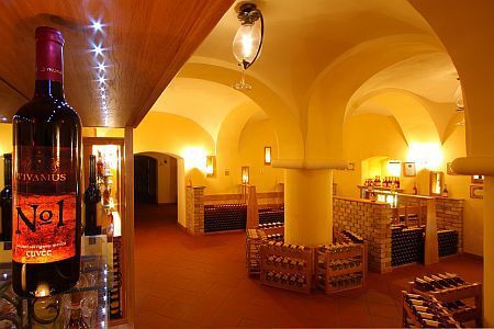 Vinothec in Balatonfured in 4* Anna Grand Hotel