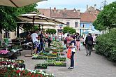 Irrotko Hotel - cheap accommodation in Koszeg, Hungary - open air terrace of Hotel Irottko