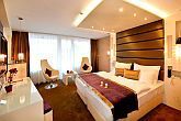 Double room with half board in Hotel Residence Siofok